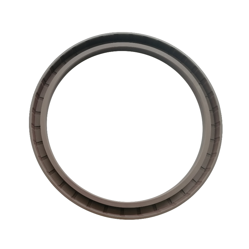 Sealing rings for gas fuels, hydrocarbon liquids And Gases, Fluorine Rubber Skeleton Oil Seal, Cloth clip oil seal